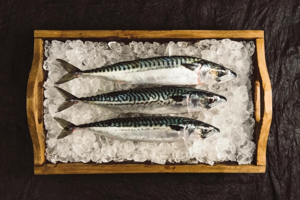 Food Photography of Mackerel by Ayrshire Product Photographers